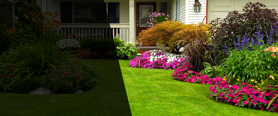 Carterville Landscapers