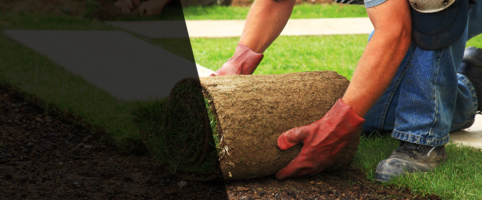 Carterville Landscapers